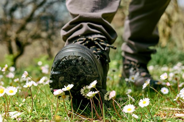 Sécurité des pieds lors des randonnées : Savoir bien choisir ses chaussures de montagne